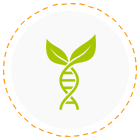 Вся продукция производитсябез ГМО, искусственных красителей, ароматизаторов и консервантов.